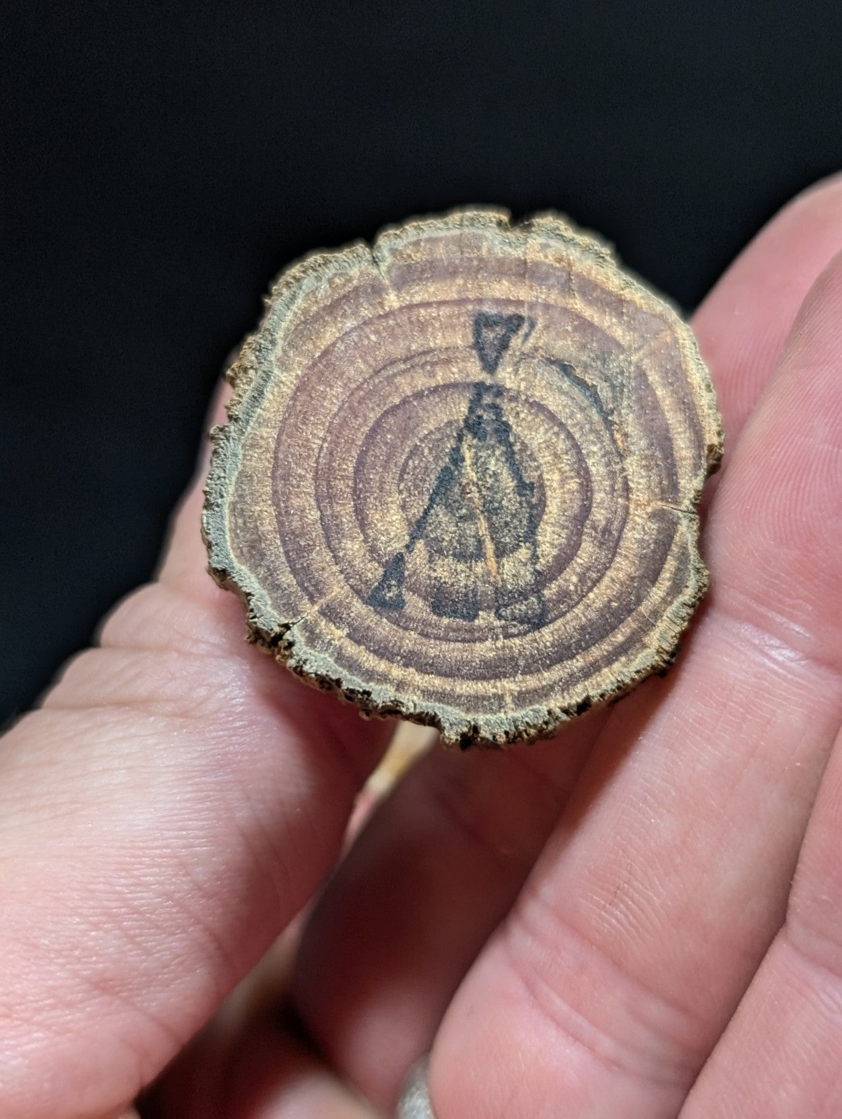 A circular wooden slice with visible growth rings and a dark, stylized silhouette etched into its surface.