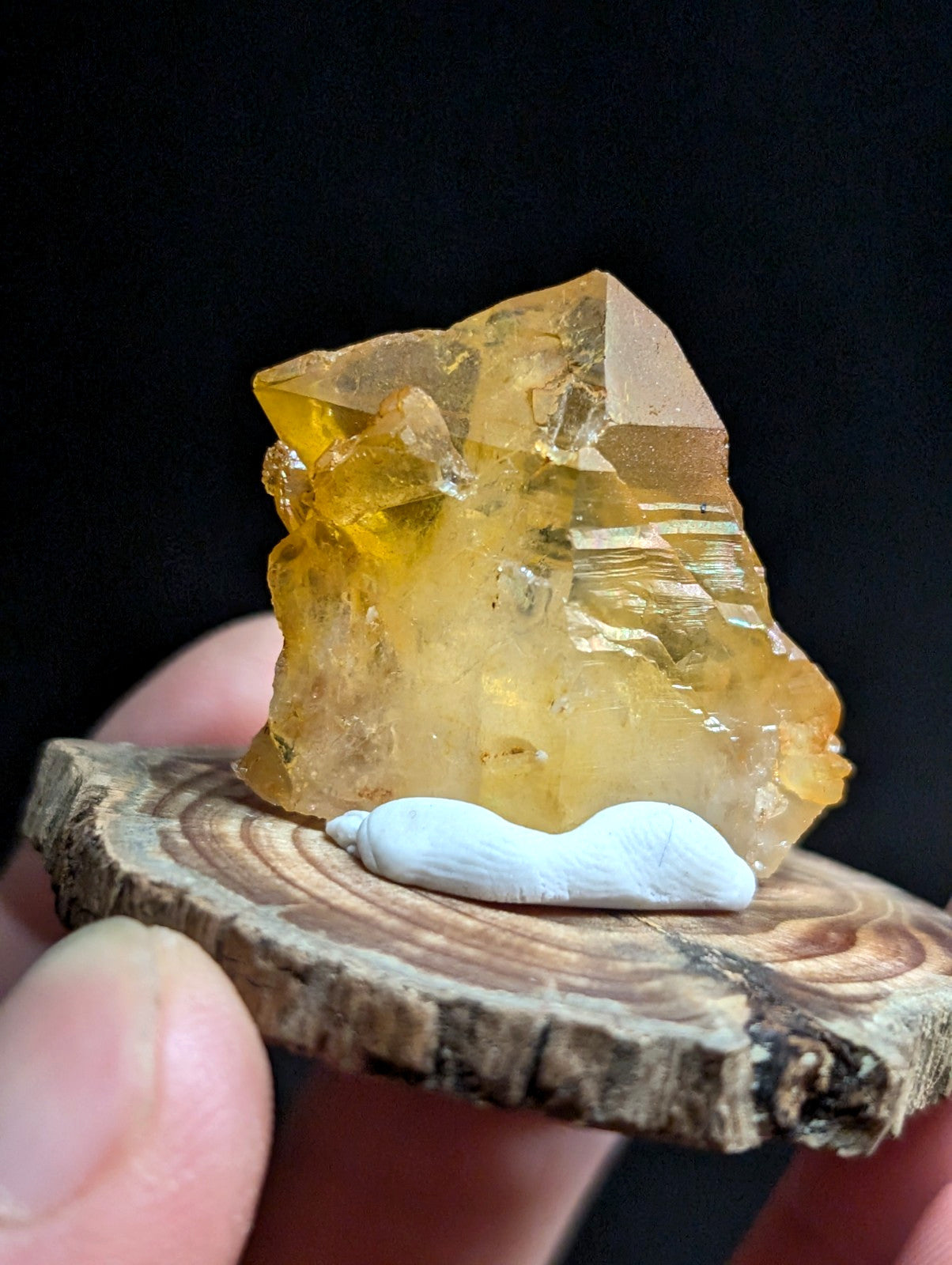 A translucent golden-yellow citrine crystal with a rough, faceted surface sits atop a rustic wooden slice.