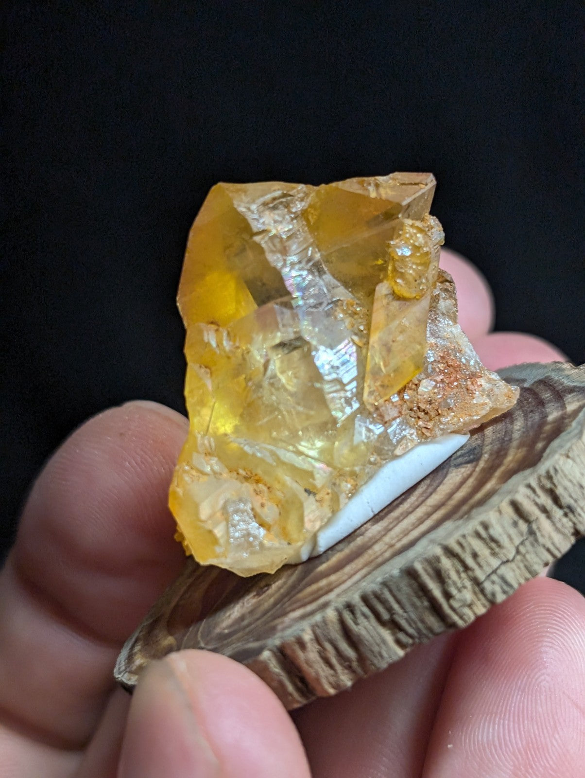 A translucent golden-yellow crystal with sharp, faceted edges and a glossy surface rests on a rustic wooden slice.