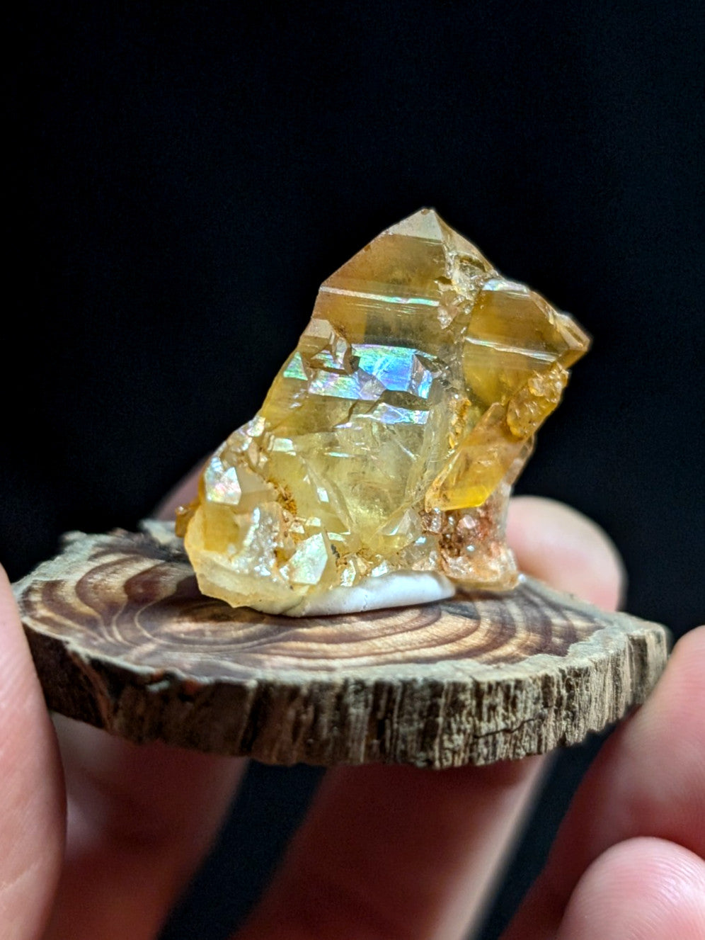 A golden-yellow citrine crystal cluster with iridescent flashes, displayed on a rustic wooden slice.