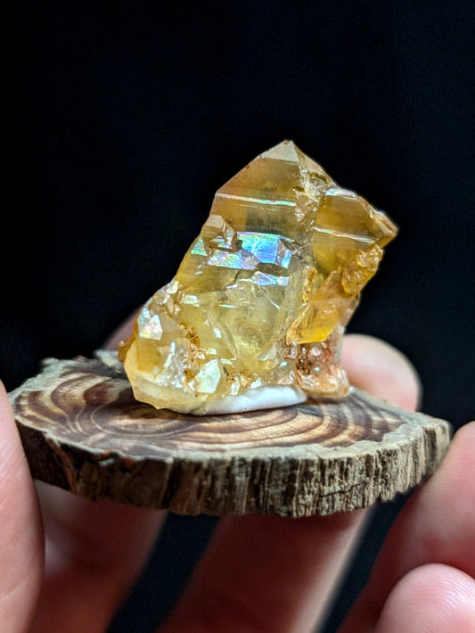 A golden-yellow citrine crystal cluster with iridescent flashes, displayed on a rustic wooden slice.