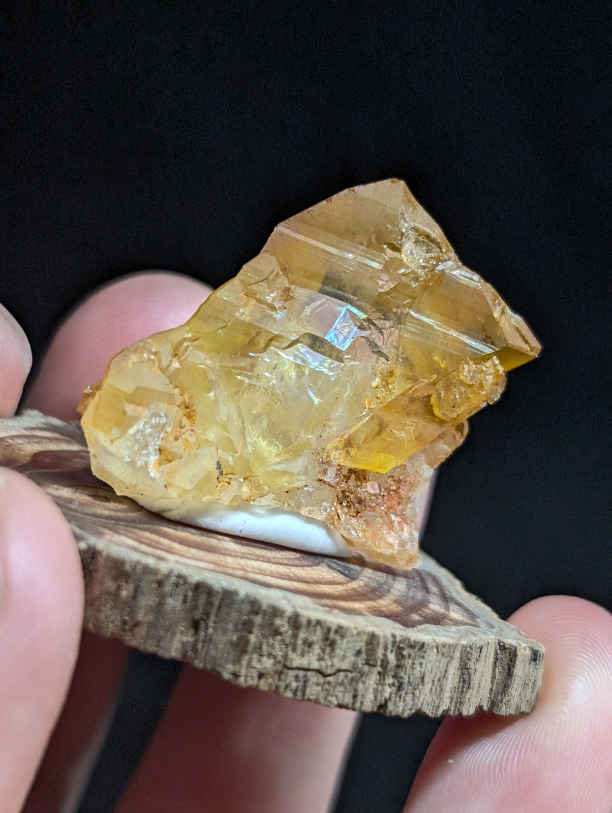 A translucent golden-yellow crystal with sharp, faceted edges and internal inclusions rests on a rustic wooden slice.