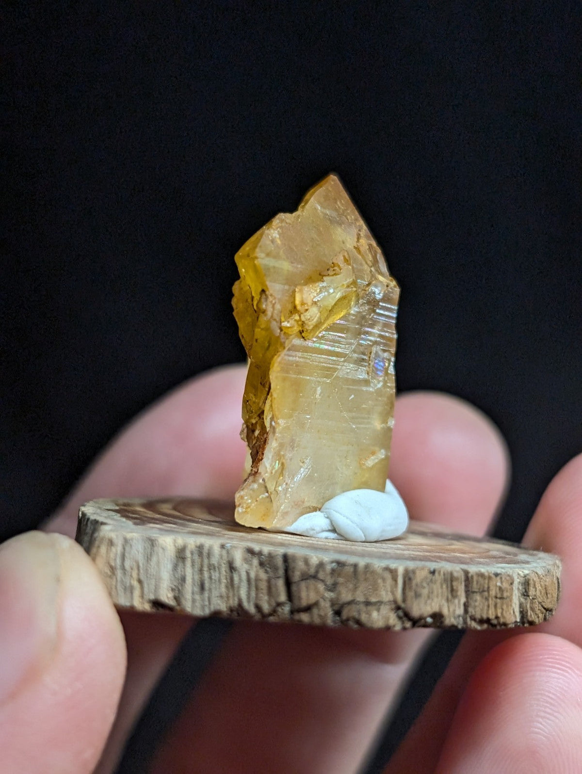 A translucent golden-yellow crystal with visible striations, mounted on a rustic wooden slice.