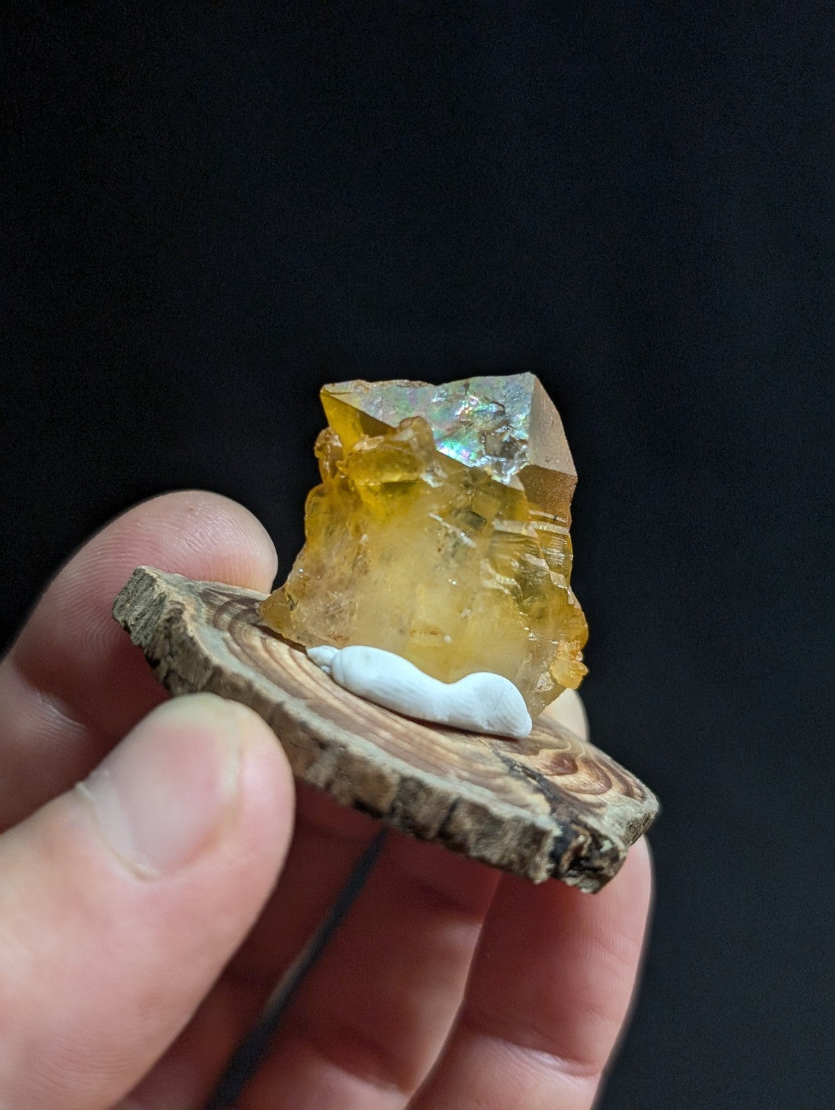 A translucent yellow-orange fluorite crystal with a faceted, geometric shape rests on a rustic wooden slice.