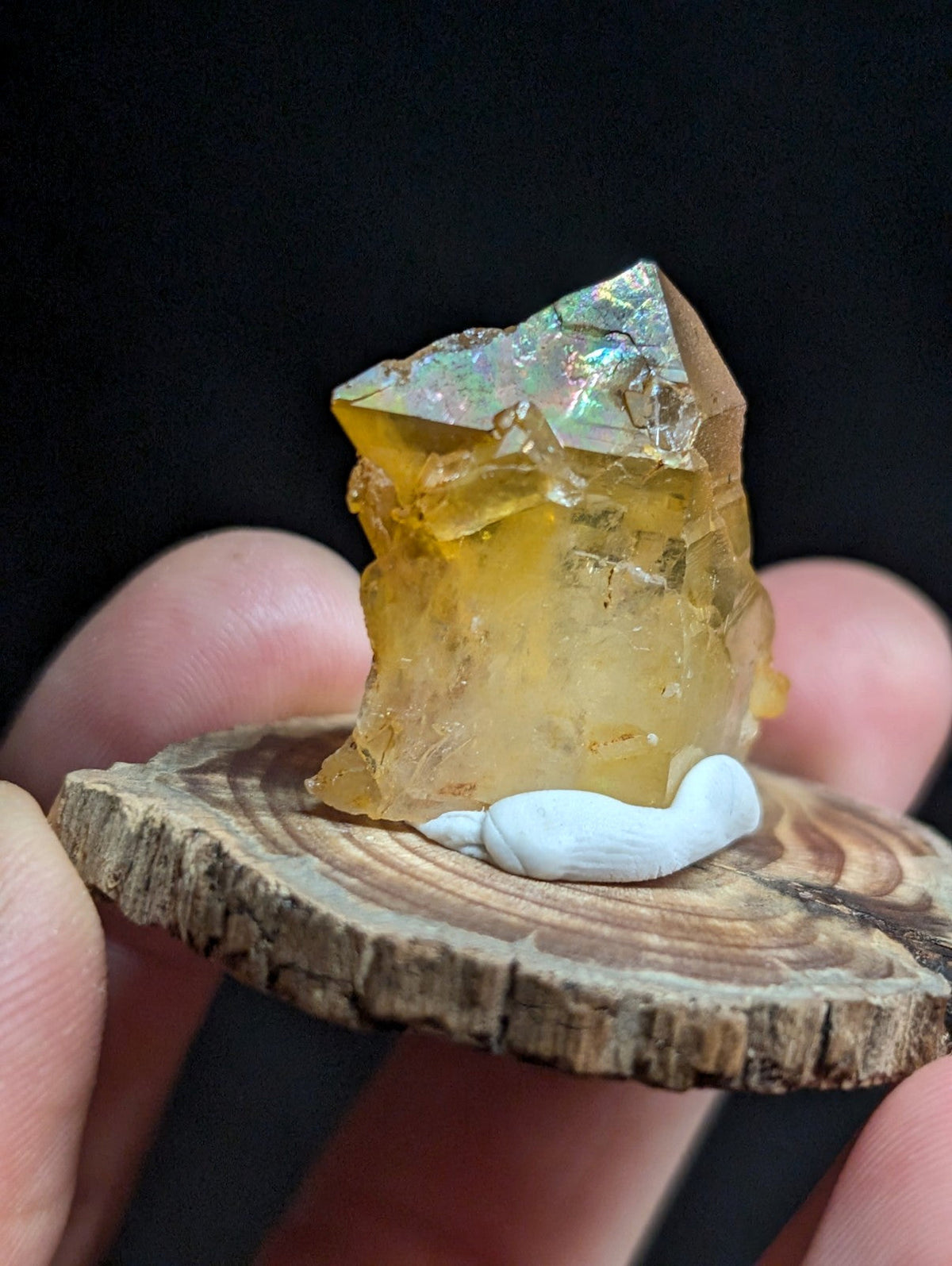 A translucent golden-yellow fluorite crystal with iridescent facets, displayed on a rustic wooden slice.