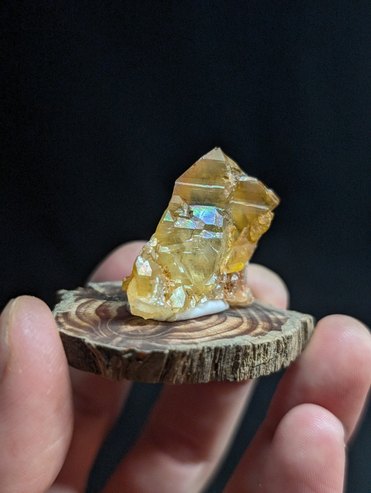 A golden-yellow citrine crystal with iridescent facets rests on a circular wooden slice.