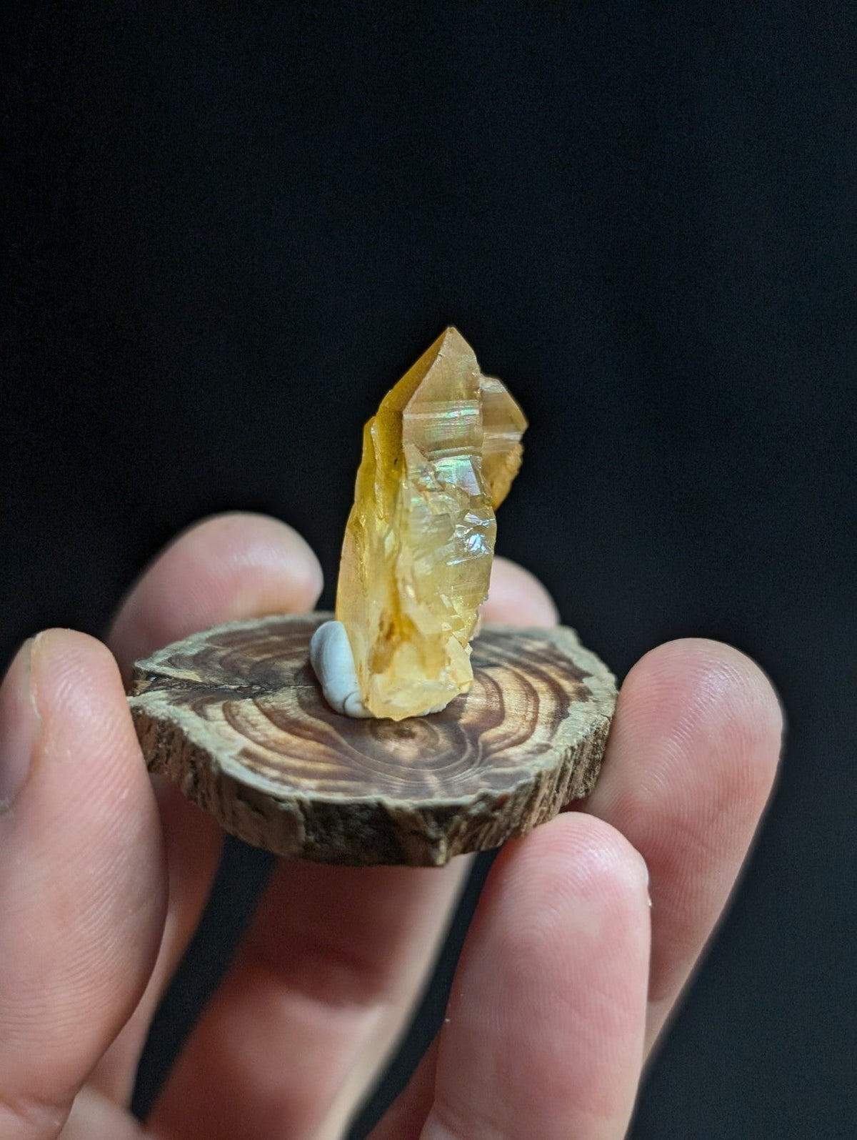 A translucent golden-yellow crystal with a pointed tip, mounted on a circular wooden slice.