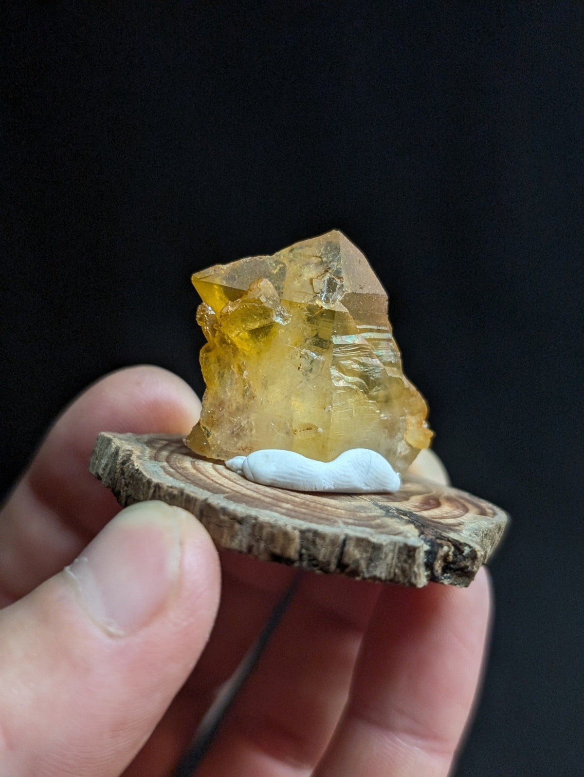 A translucent golden-yellow citrine crystal with a rough, faceted surface sits atop a small circular wooden slice.