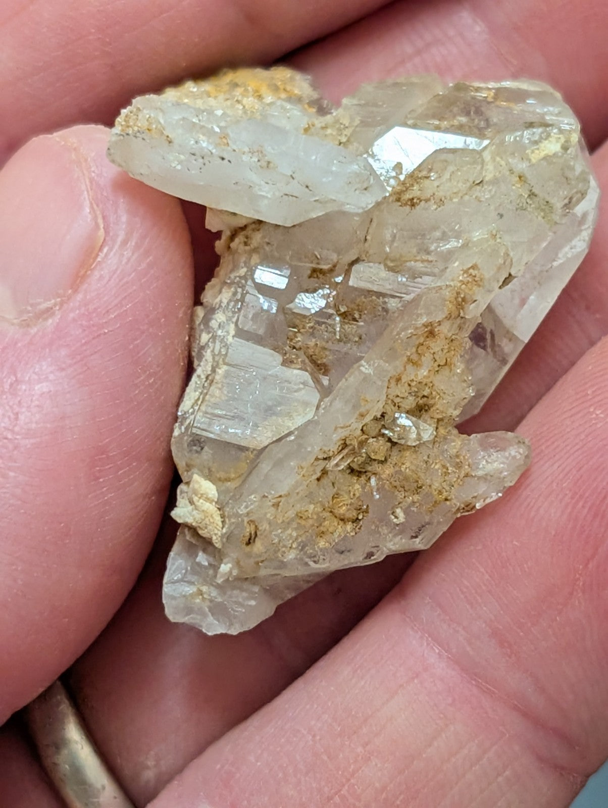 A translucent, crystalline quartz specimen with golden mineral inclusions nestled within its facets.