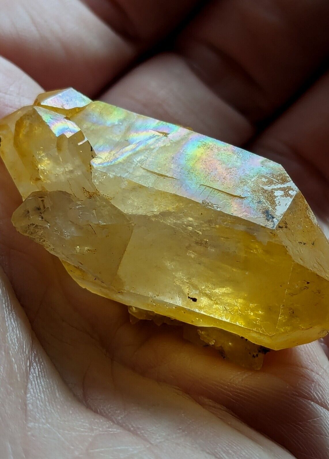 Unique Quartz Crystal Point - Garland County Arkansas w/ natural iridescence - Collectibles:Rocks Fossils &