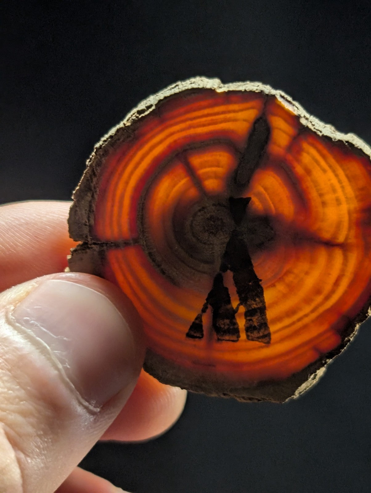 A circular slice of amber-colored wood with concentric rings and a dark, carved silhouette of a figure.