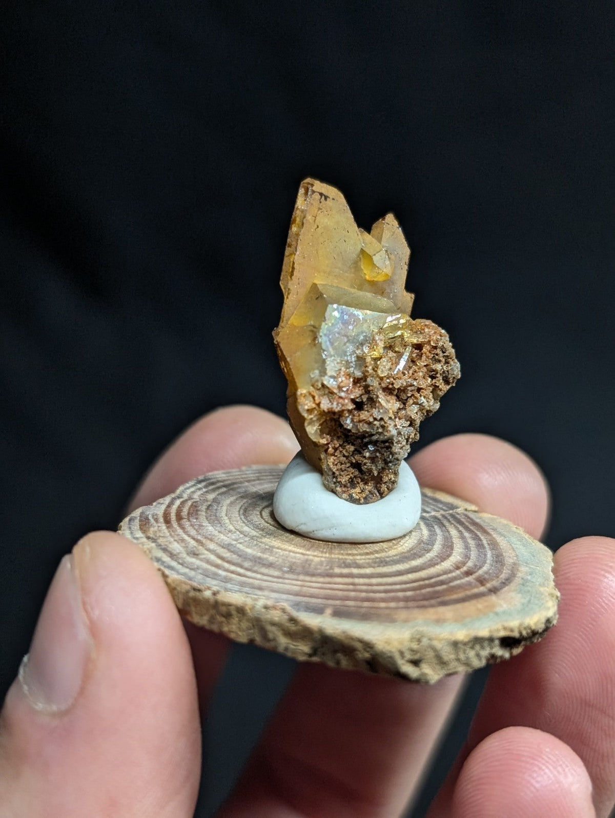 A golden-yellow quartz crystal with a metallic sheen, mounted on a white ceramic base and displayed atop a rustic wooden slice.