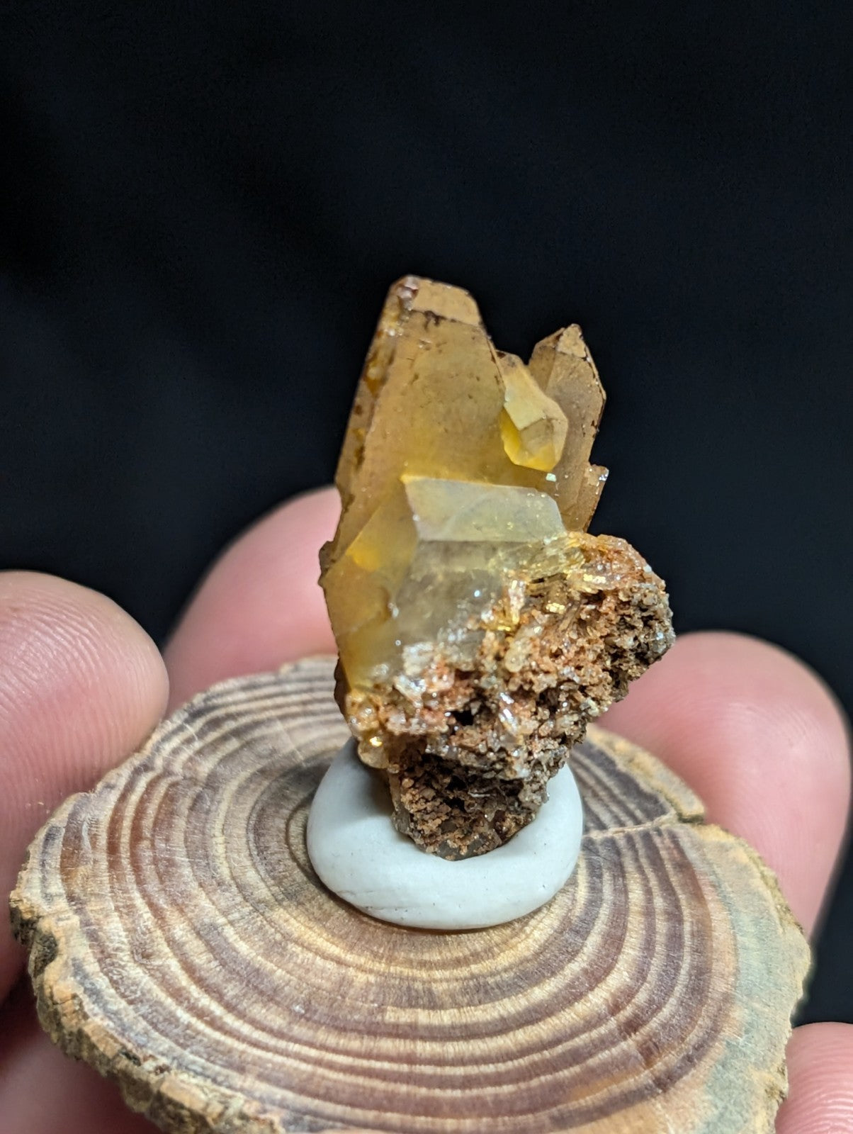 A golden-yellow citrine crystal cluster with translucent facets, mounted on a white ceramic base and displayed atop a rustic wooden slice.
