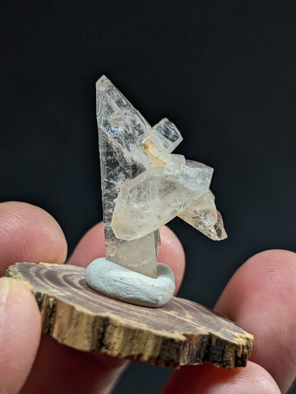 A translucent, clear quartz crystal formation with a pointed tip and layered facets rests on a light gray ceramic base set upon a rustic wooden slice.