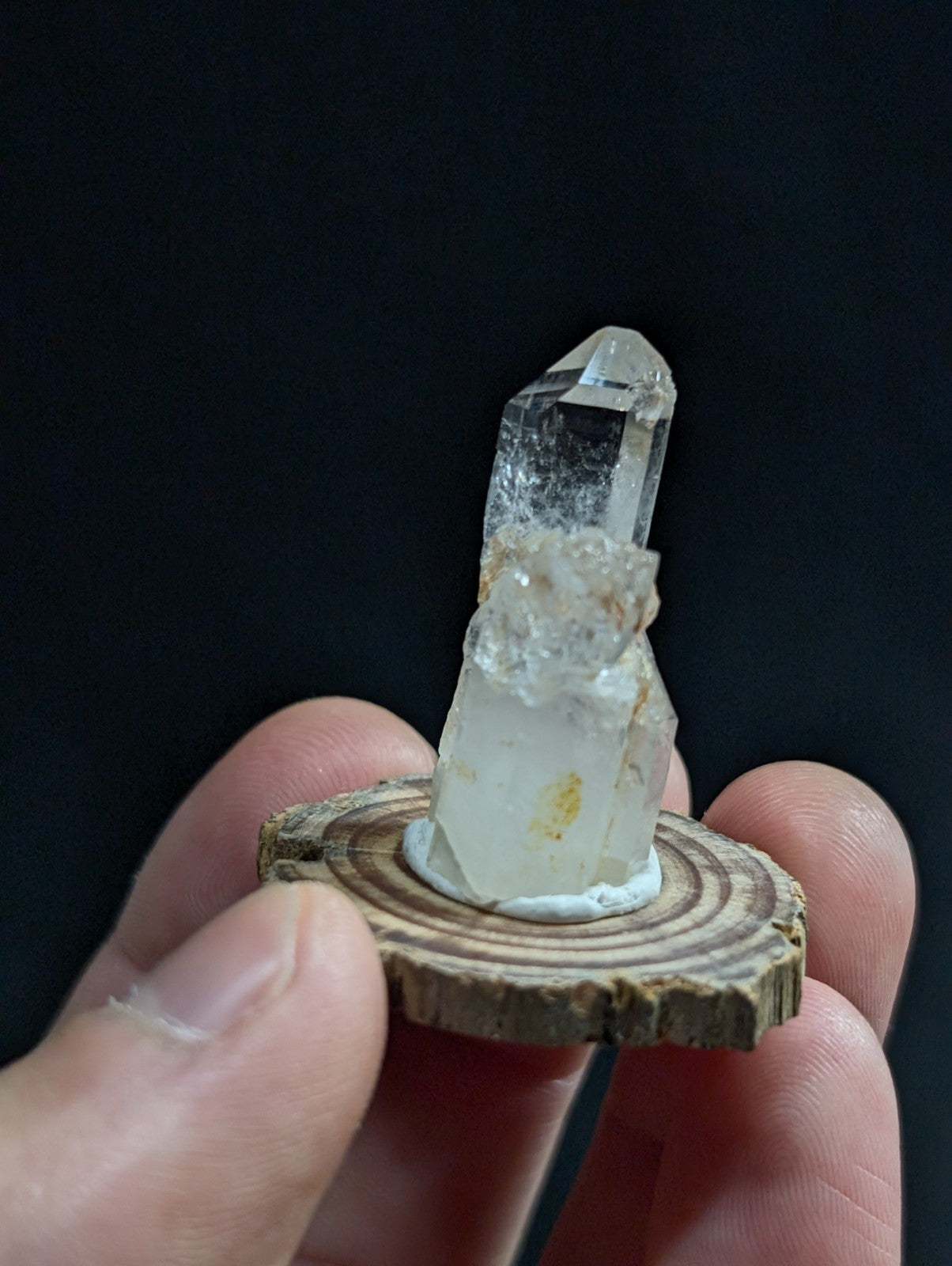 A clear quartz crystal with a pointed tip and natural inclusions, mounted on a rustic wooden slice base.