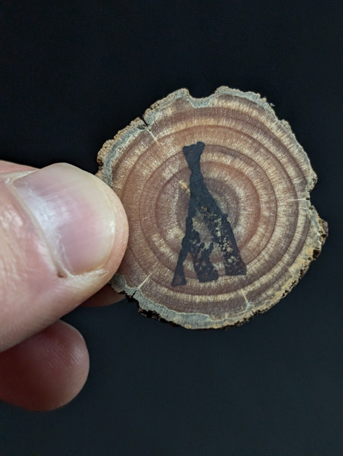 A circular wooden slice with visible growth rings and a dark, stylized silhouette of an animal engraved in the center.