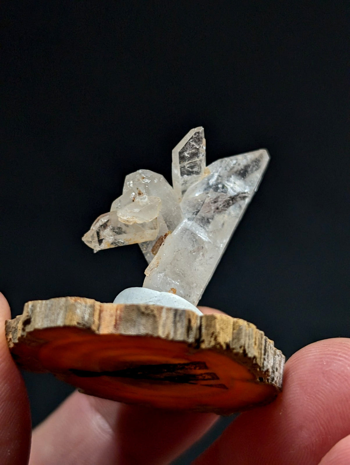 Clear quartz crystal cluster mounted on a rustic wooden slice.