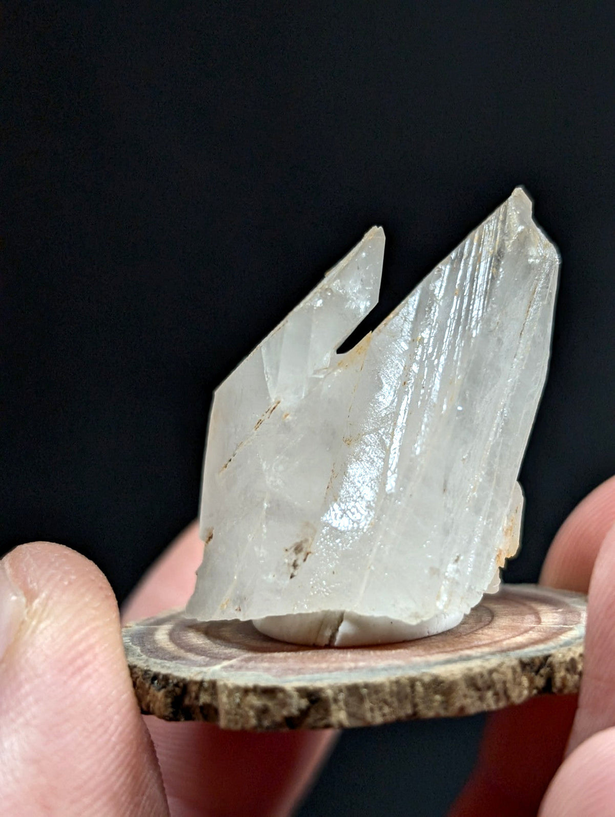 A translucent, pale quartz crystal with sharp facets and natural striations rests on a rustic wooden slice.