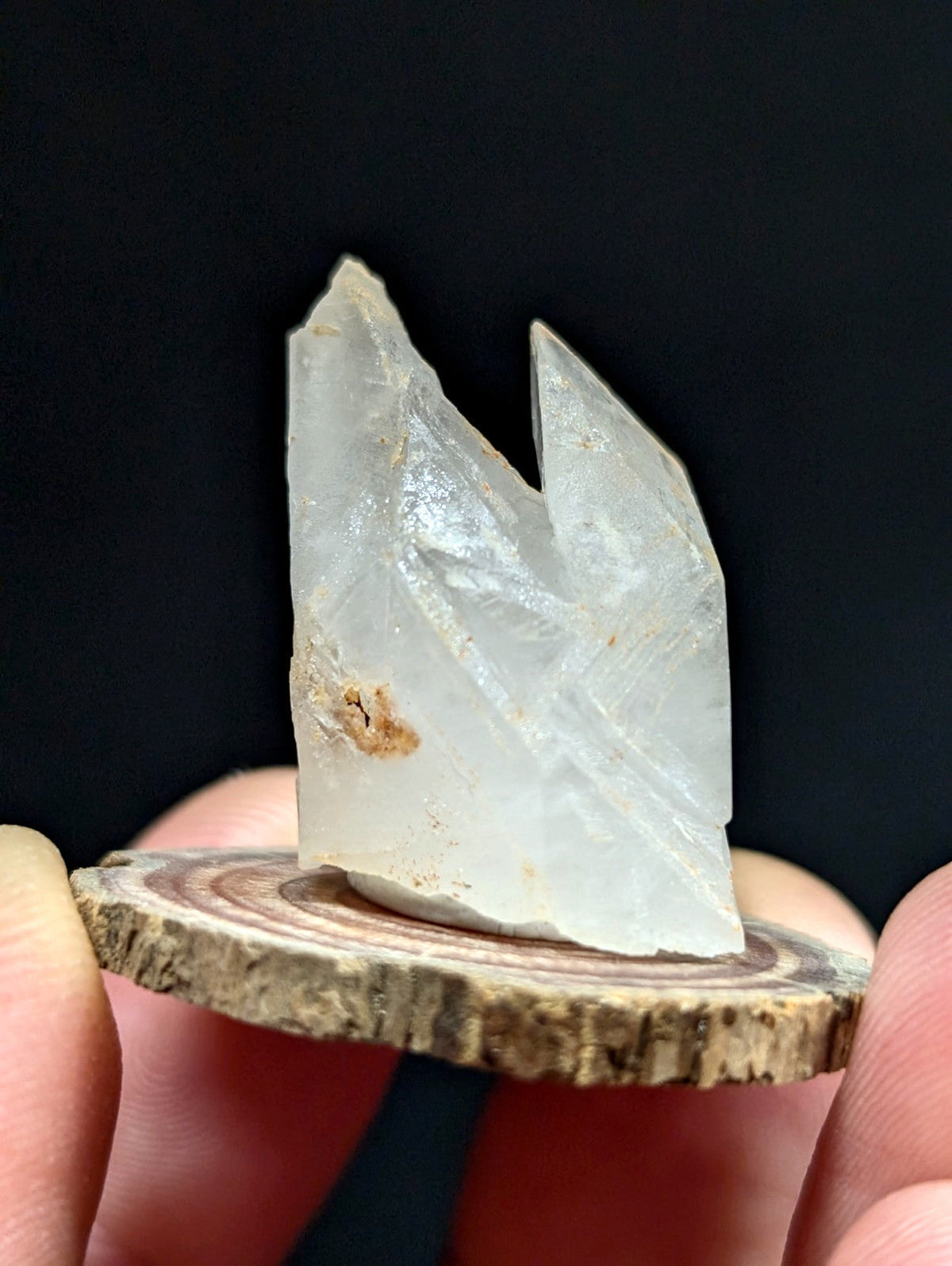 A translucent, pale quartz crystal with sharp facets and a small brown inclusion sits atop a circular wooden slice.