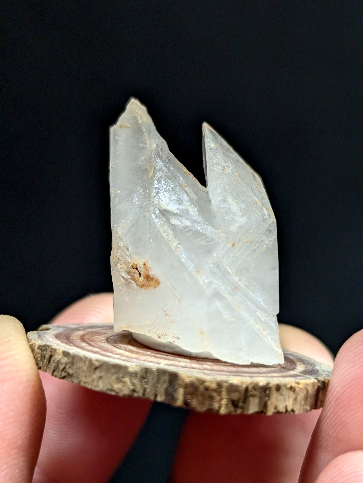 A translucent, pale quartz crystal with sharp facets and a small brown inclusion sits atop a circular wooden slice.
