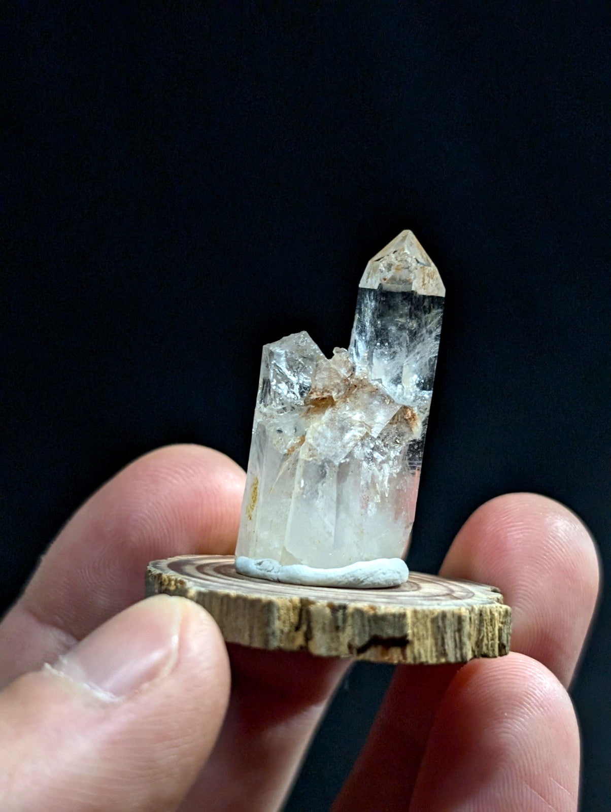 A clear quartz crystal cluster with a pointed top and natural inclusions, displayed on a rustic wooden slice.