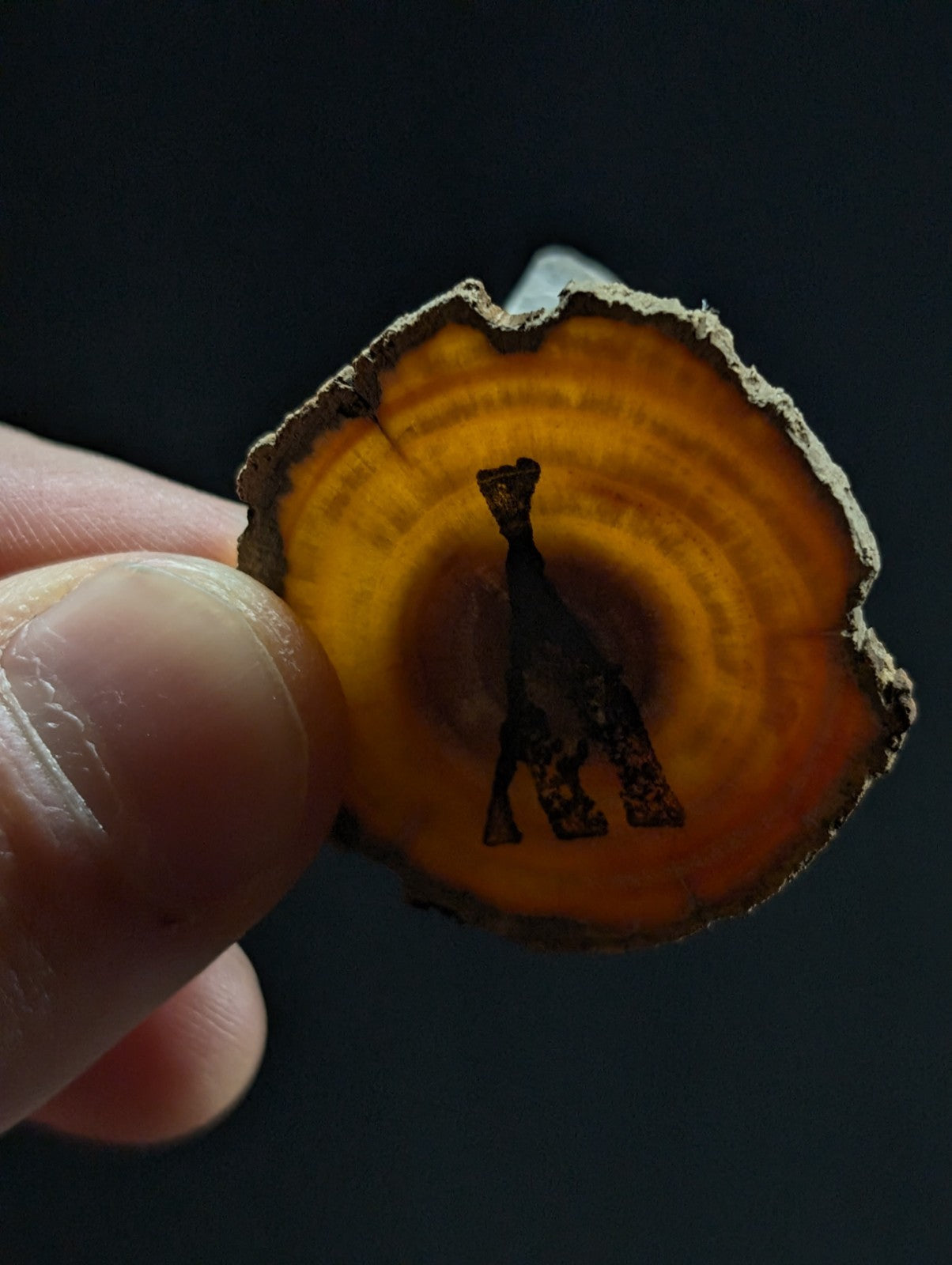 A hand holds a circular, translucent orange agate slice with concentric rings and a dark silhouette of a dog etched into its surface.