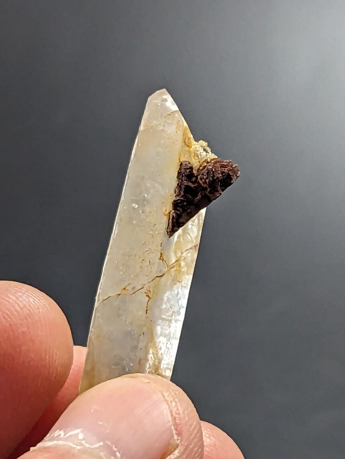 Unique Quartz Crystal Point w/ Limonite Garland County Arkansas Old Stock - Collectibles:Rocks Fossils &