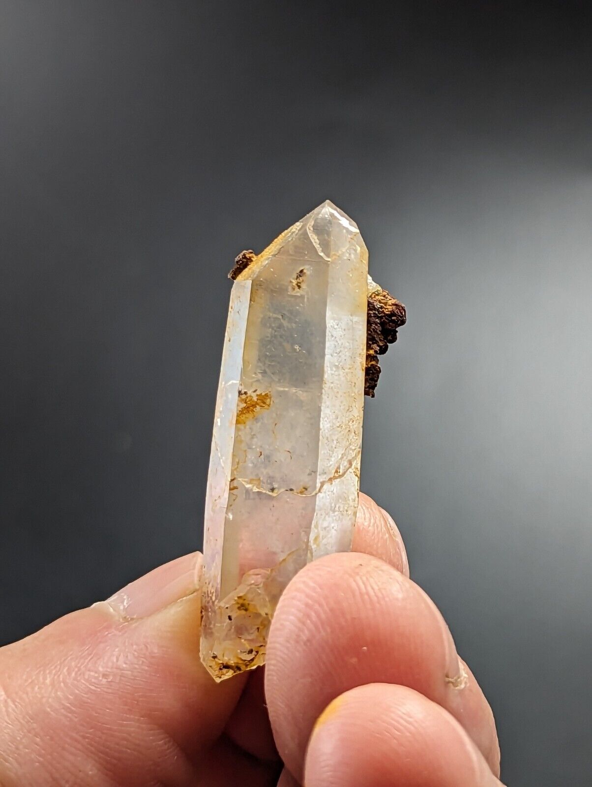 Unique Quartz Crystal Point w/ Limonite Garland County Arkansas Old Stock - Collectibles:Rocks Fossils &