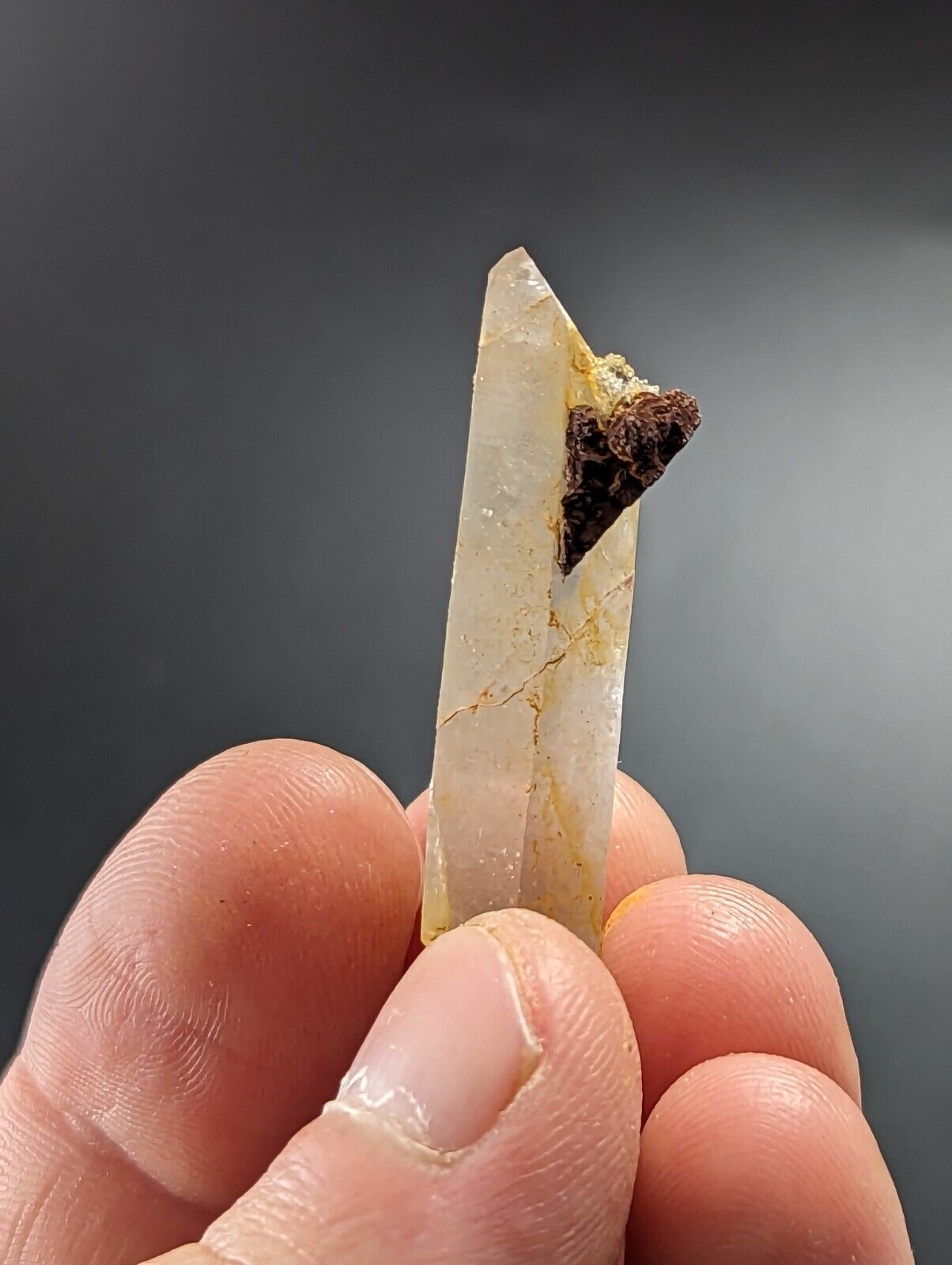 Unique Quartz Crystal Point w/ Limonite Garland County Arkansas Old Stock - Collectibles:Rocks Fossils &