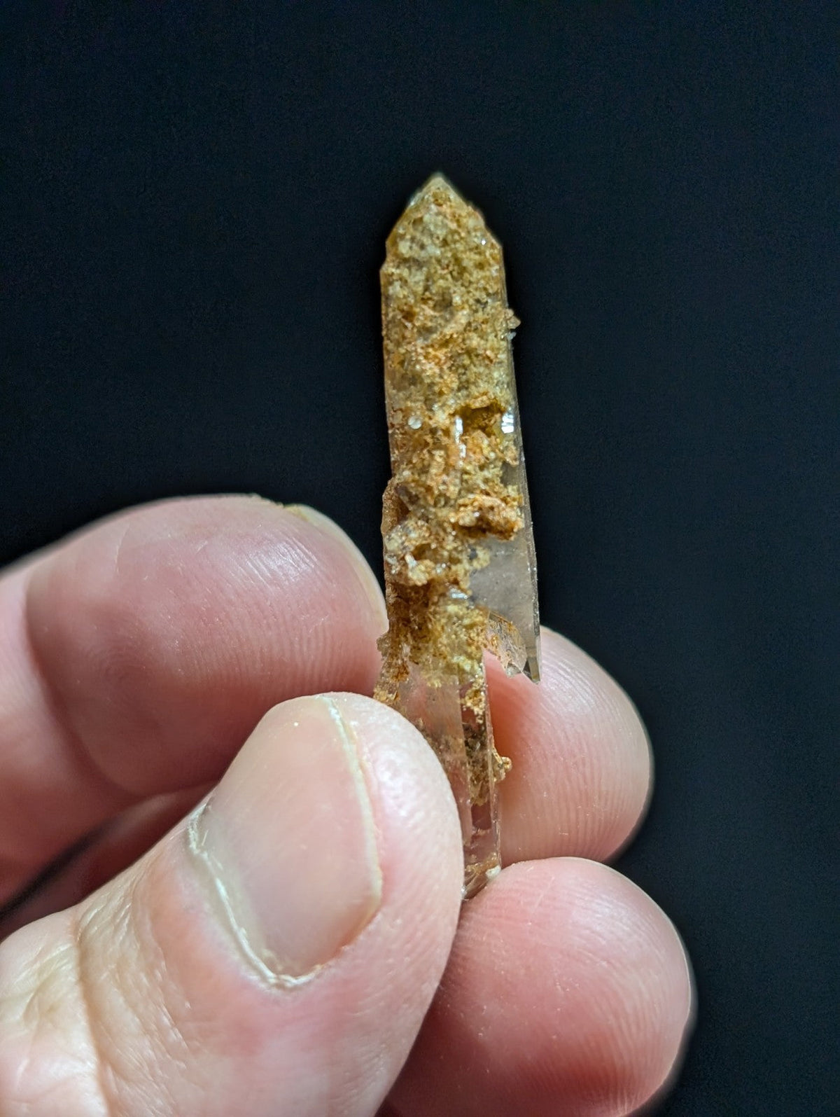A translucent quartz crystal with a pointed tip, partially covered in golden-brown mineral deposits.