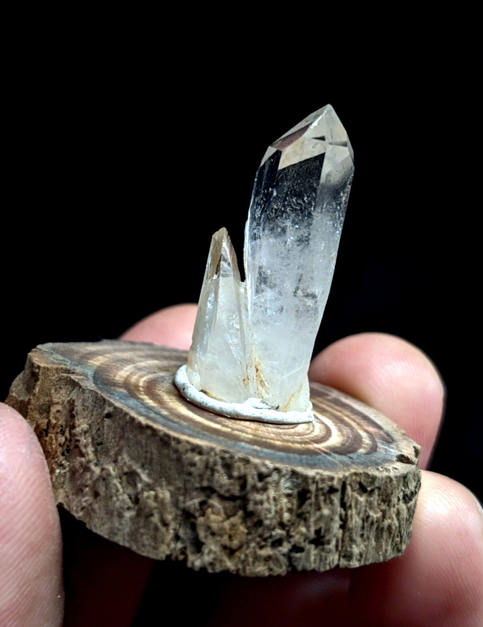 Clear quartz crystals with a pointed, faceted top and translucent body rest on a rustic wooden slice.