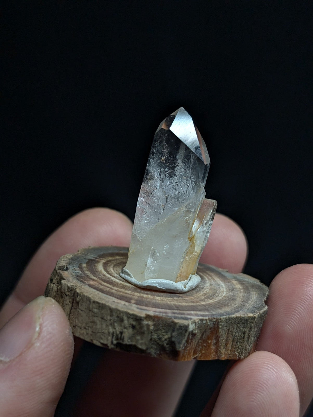 A clear quartz crystal with a pointed tip and subtle internal inclusions, mounted on a rustic wooden slice.