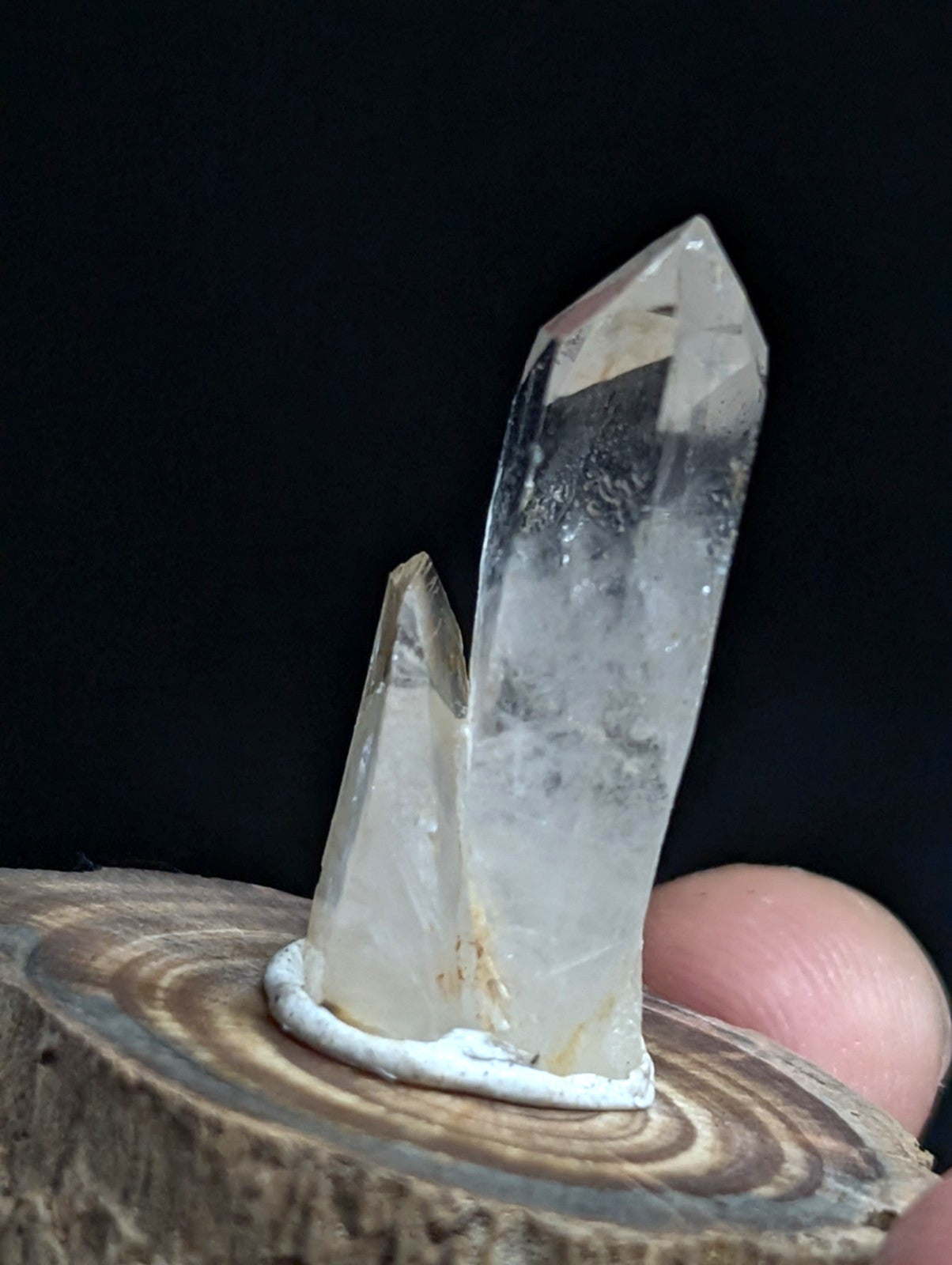 A clear quartz crystal cluster with a tall, pointed main spike and smaller adjacent spikes, mounted on a white base atop a wooden slice.