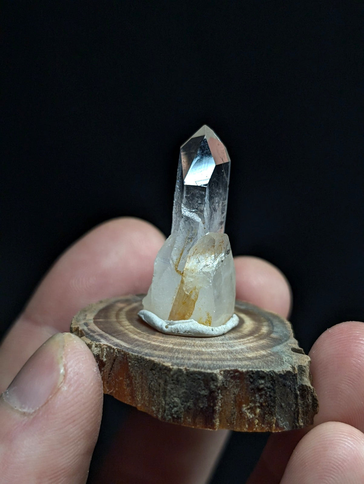 A clear quartz crystal with a pointed tip and subtle internal inclusions, mounted on a rustic wooden slice.