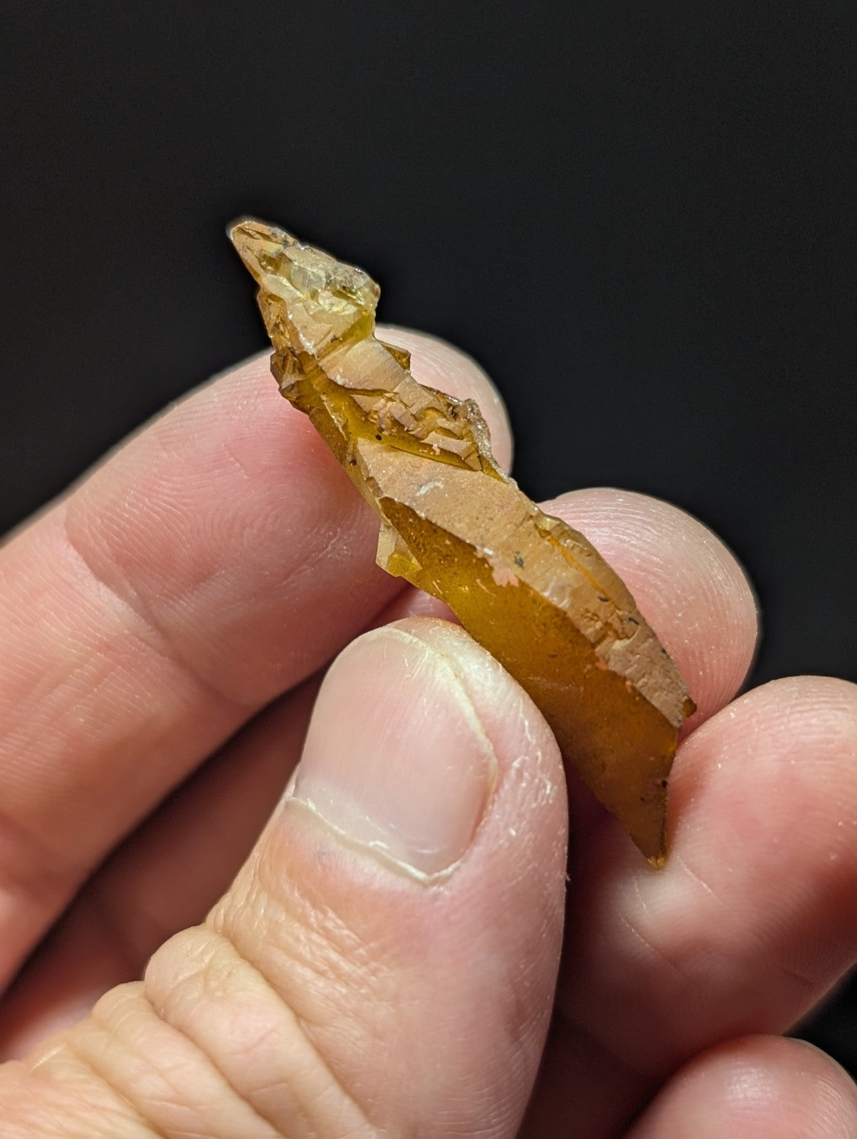A translucent amber-colored, irregularly shaped piece of fossilized resin held between fingers.