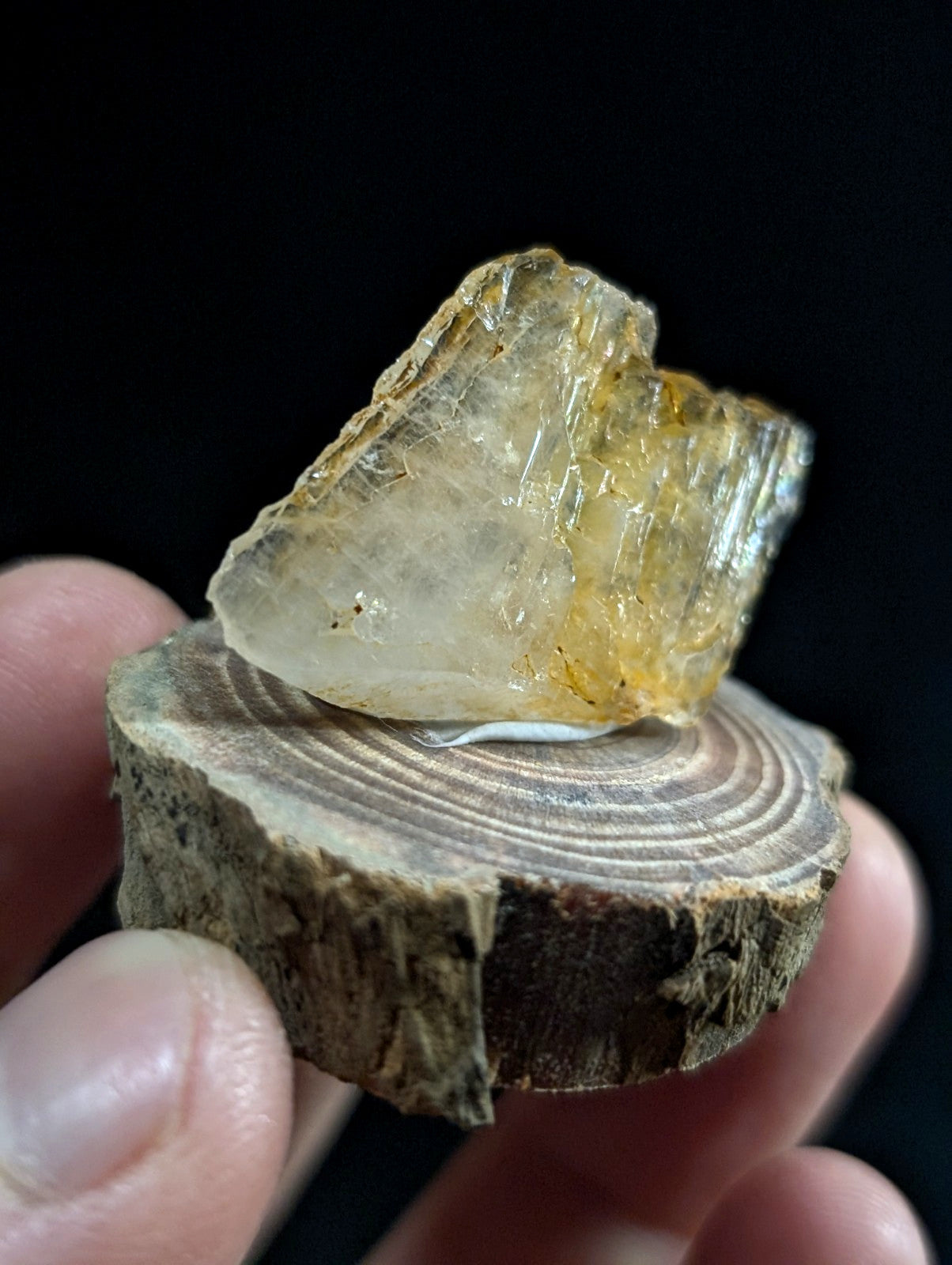 A translucent yellowish crystal with visible internal striations rests atop a circular slice of wood.