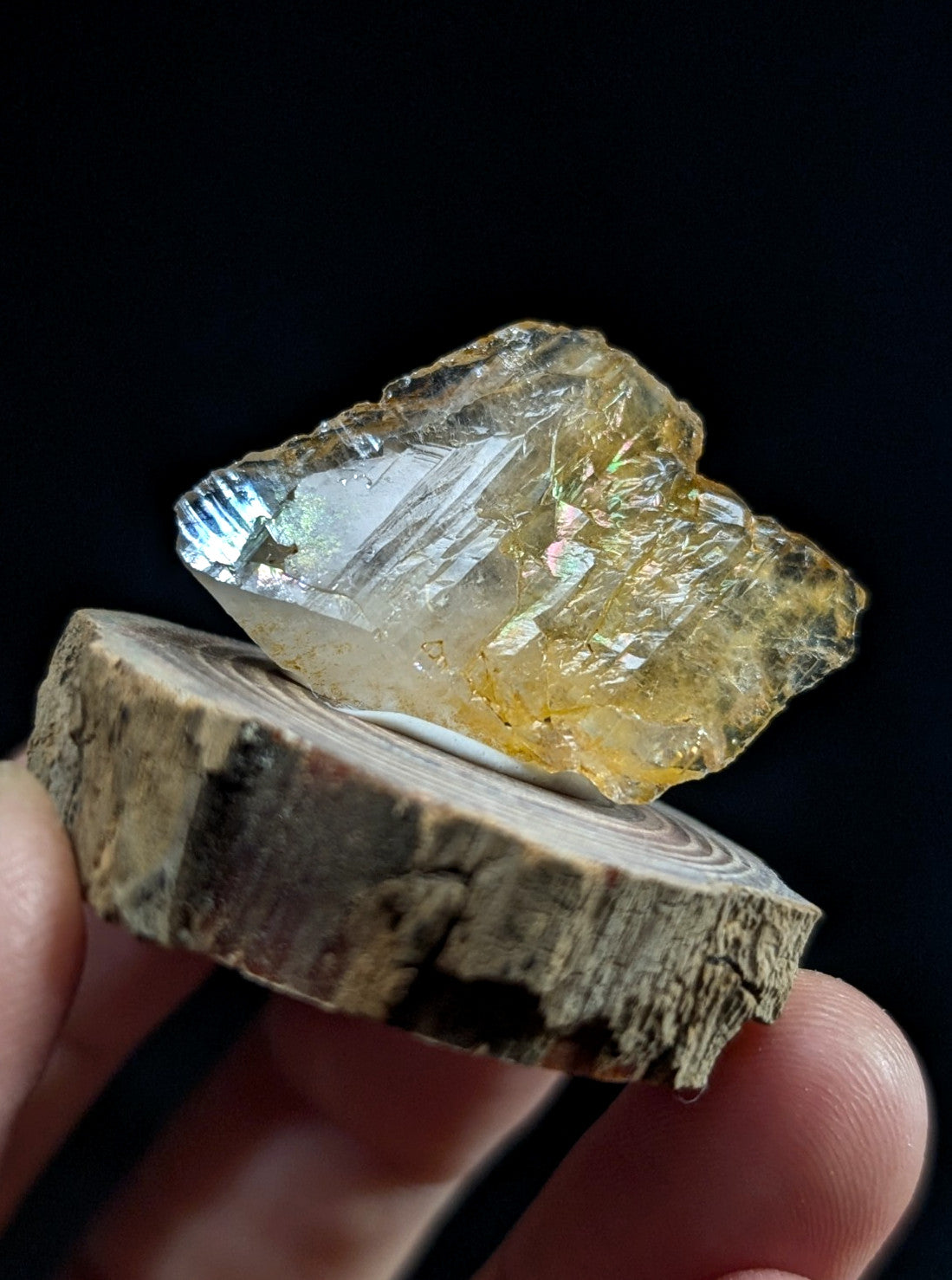 A translucent yellowish crystal with iridescent facets rests on a rustic wooden slice.
