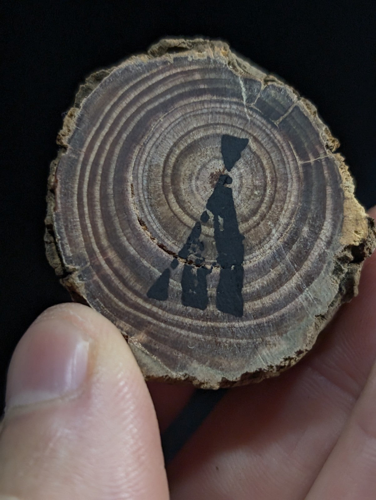A circular cross-section of a tree trunk with visible growth rings and a black painted silhouette of three figures.