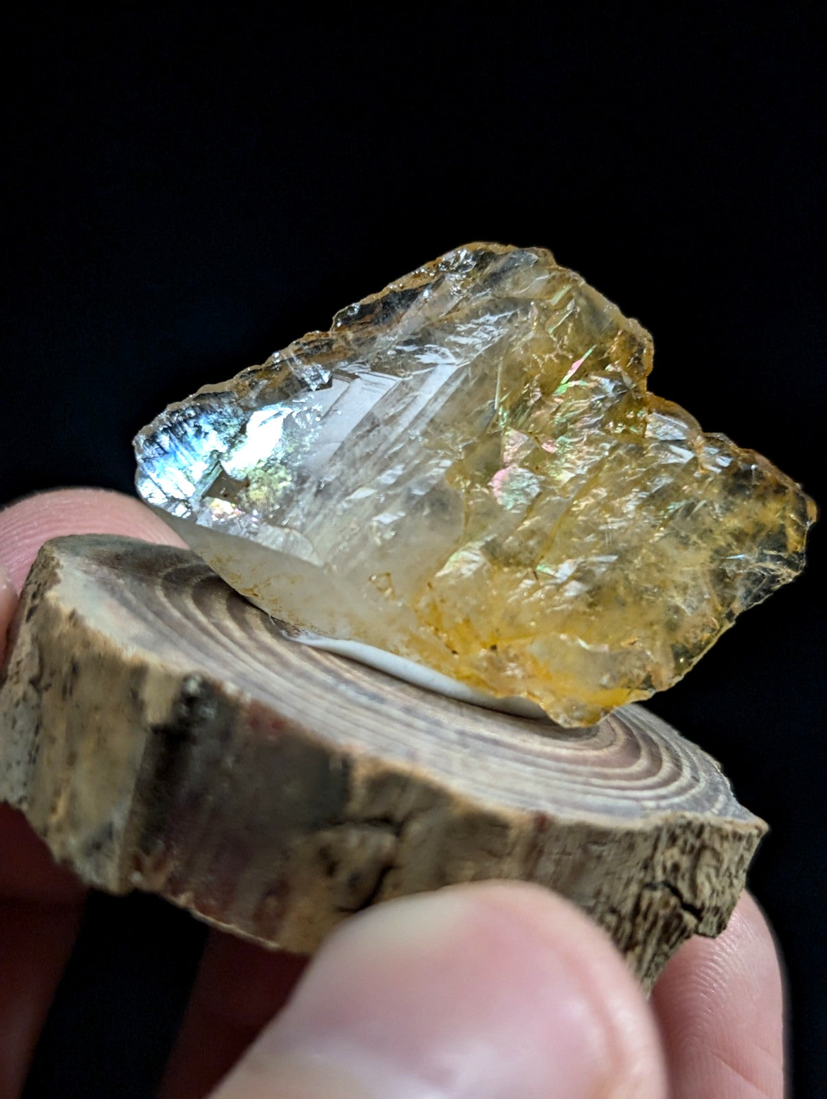 A translucent yellowish crystal with iridescent blue and green flashes, resting on a rustic wooden slice.