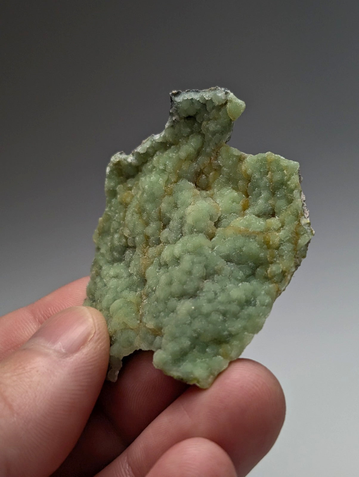 A hand holds a unique light green wavellite cluster with crystalline texture and yellowish patches from Mauldin Mountain Arkansas