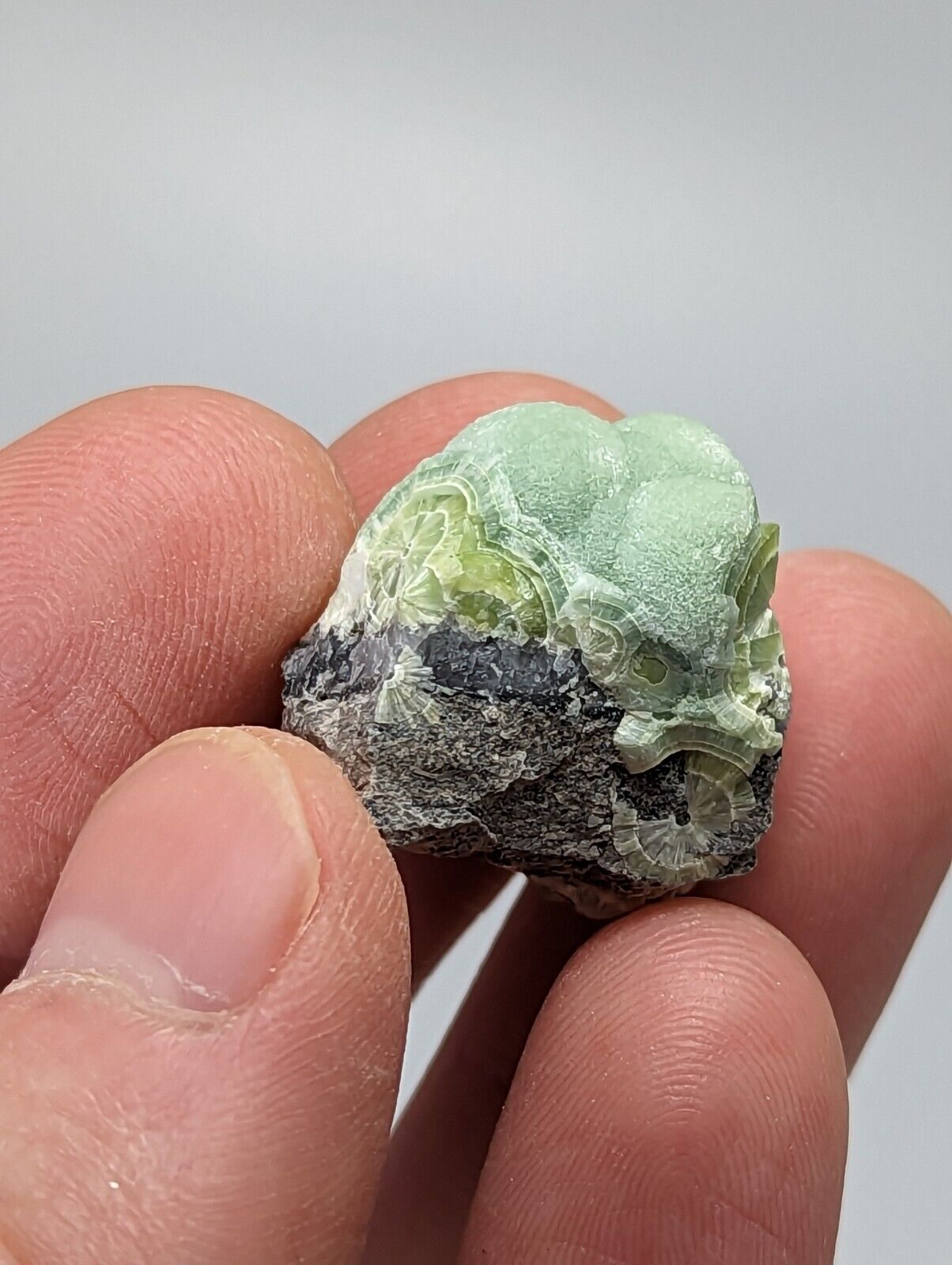 Unique Wavellite - Fantastic 1990s Old Stock - Mauldin Mountain Arkansas - Collectibles:Rocks Fossils &