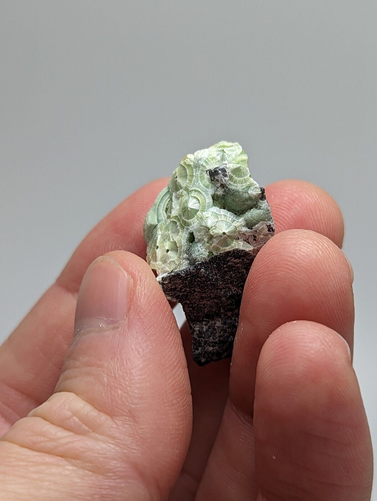 Unique Wavellite - Fantastic 1990s Old Stock - Mauldin Mountain Arkansas - Collectibles:Rocks Fossils &