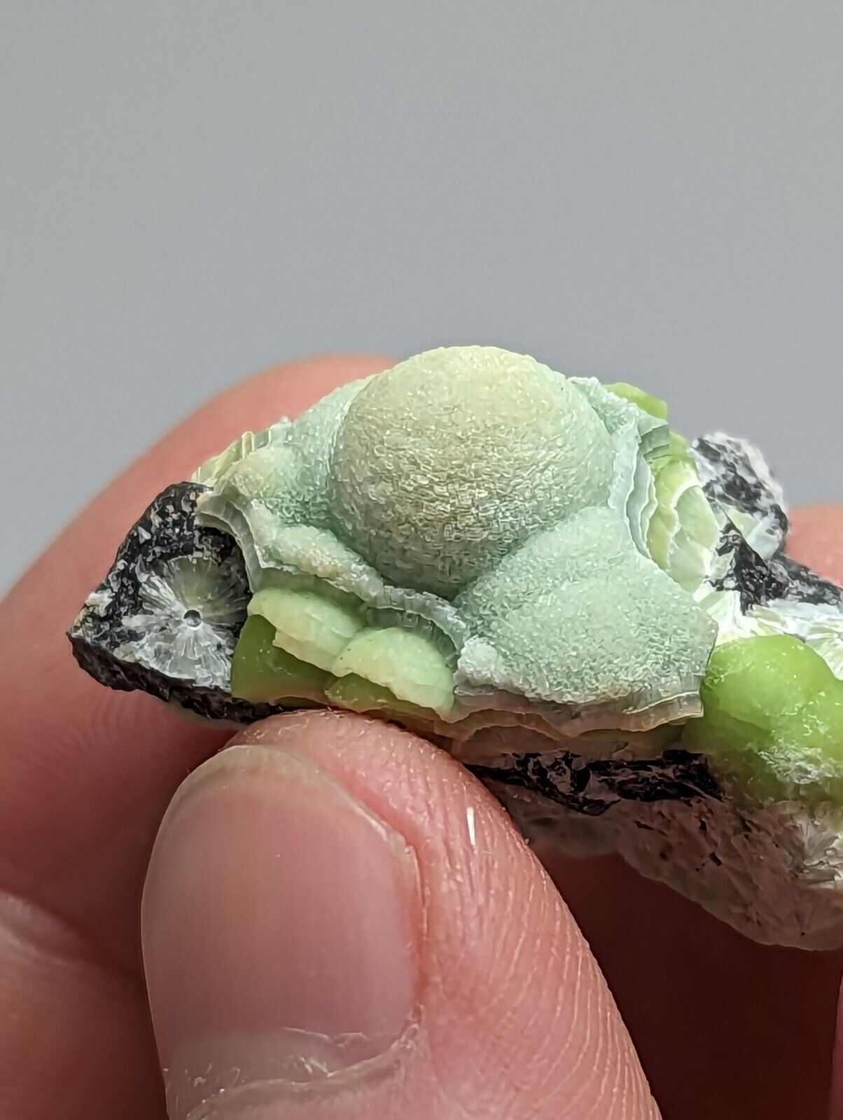 Unique Wavellite - Fantastic 1990s Old Stock - Mauldin Mountain Arkansas - Collectibles:Rocks Fossils &