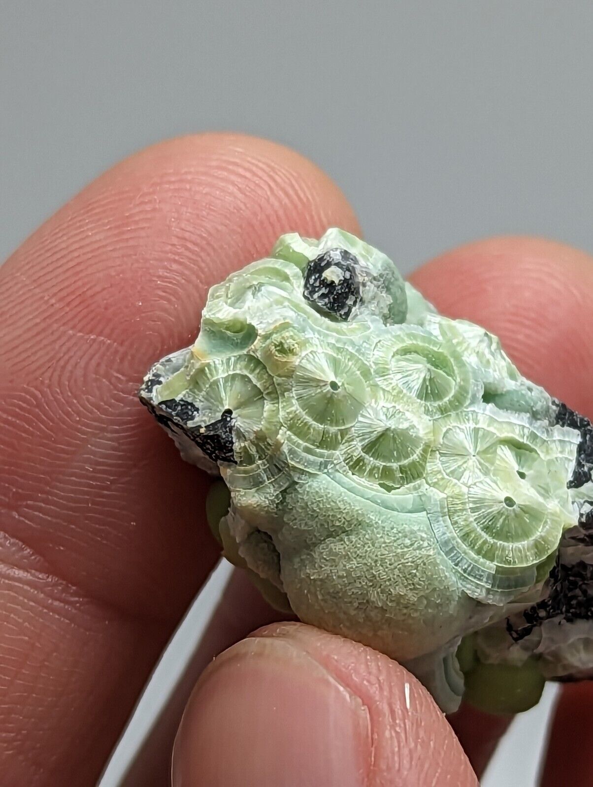 Unique Wavellite - Fantastic 1990s Old Stock - Mauldin Mountain Arkansas - Collectibles:Rocks Fossils &
