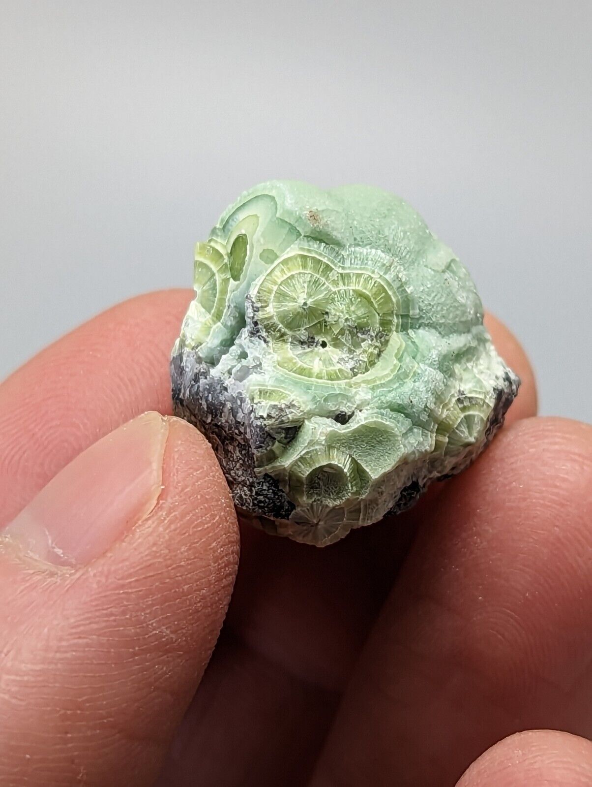 Unique Wavellite - Fantastic 1990s Old Stock - Mauldin Mountain Arkansas - Collectibles:Rocks Fossils &