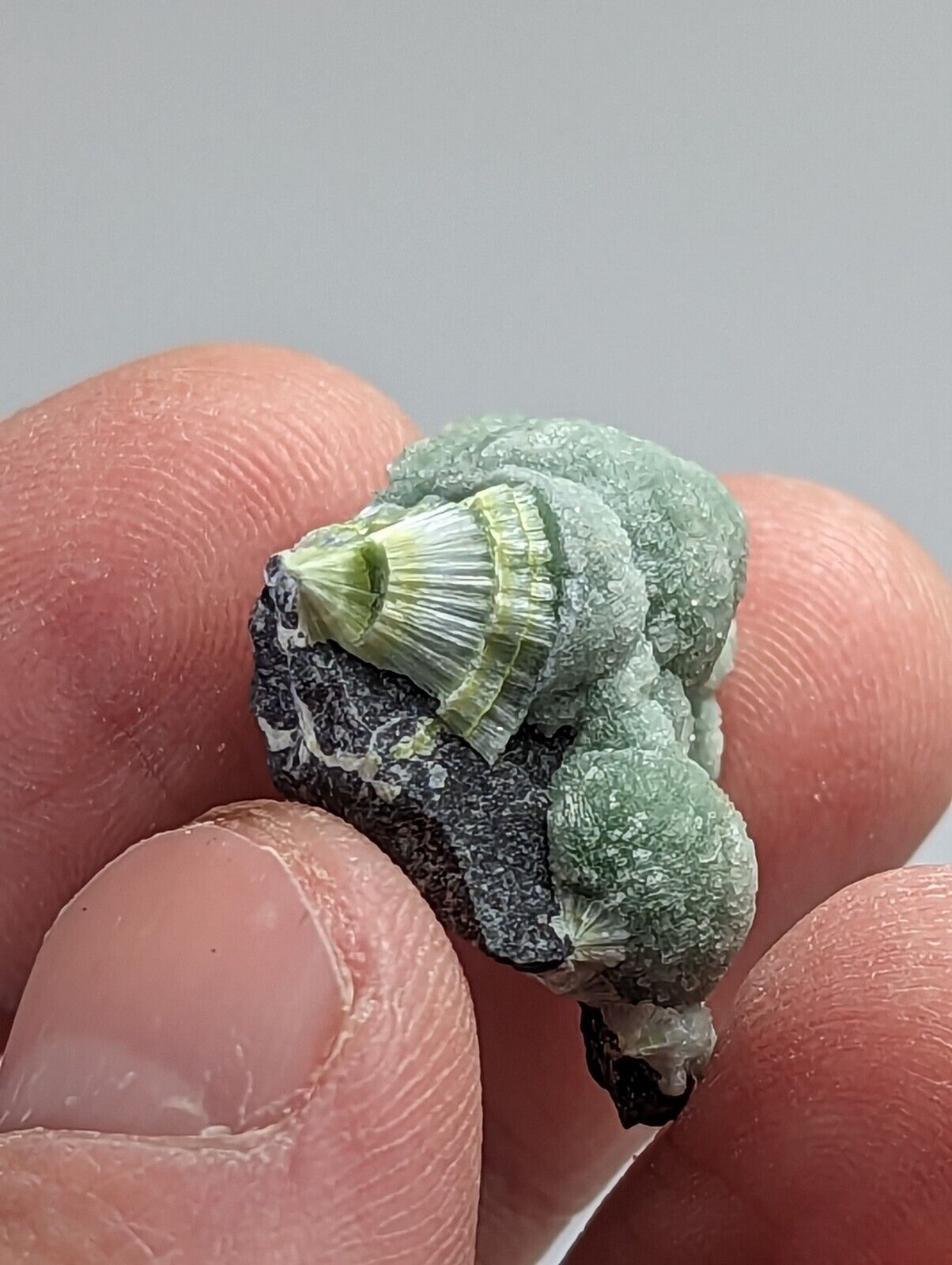 Unique Wavellite - Fantastic 1990s Old Stock - Mauldin Mountain Arkansas - Collectibles:Rocks Fossils &