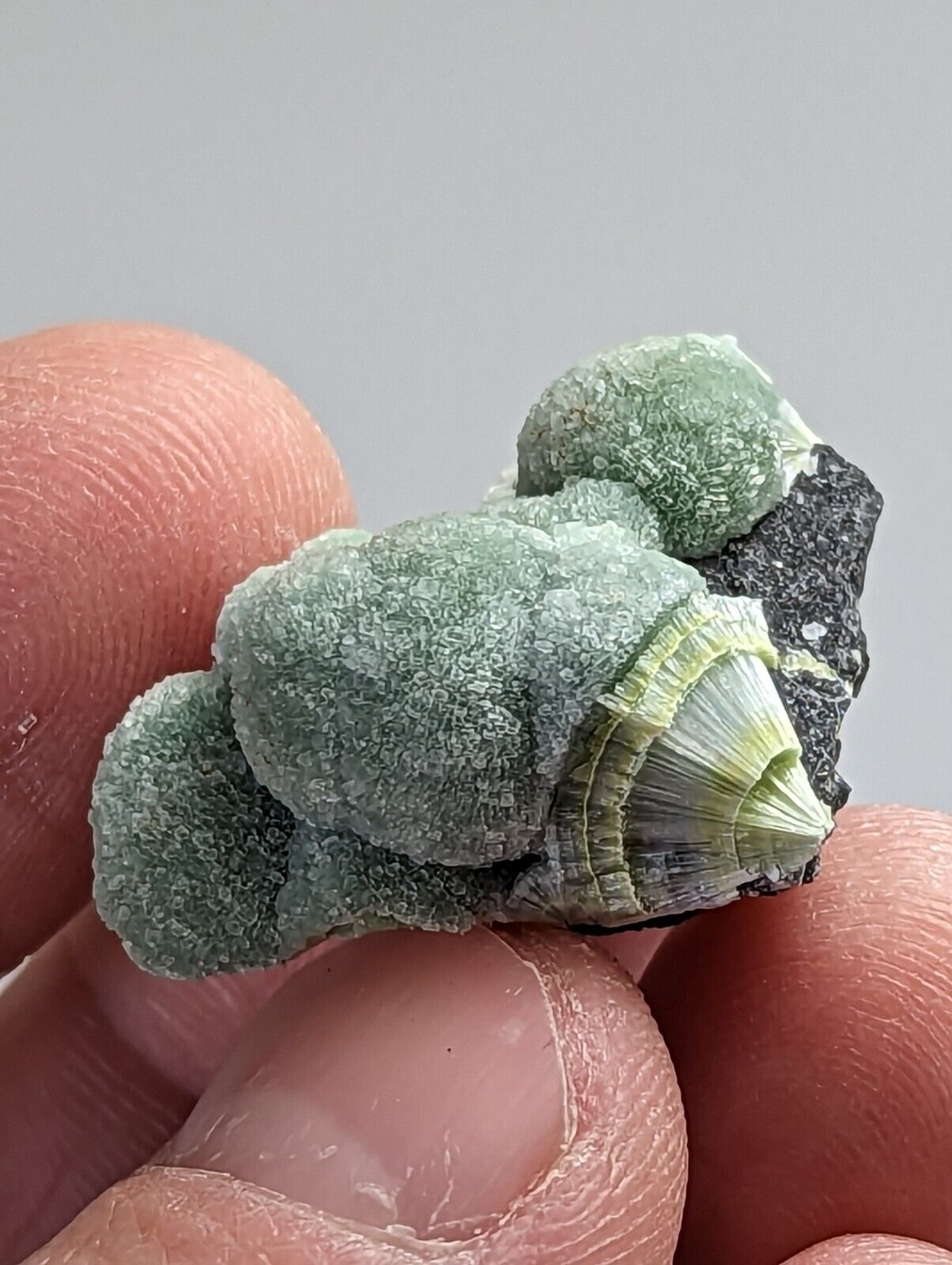 Unique Wavellite - Fantastic 1990s Old Stock - Mauldin Mountain Arkansas - Collectibles:Rocks Fossils &