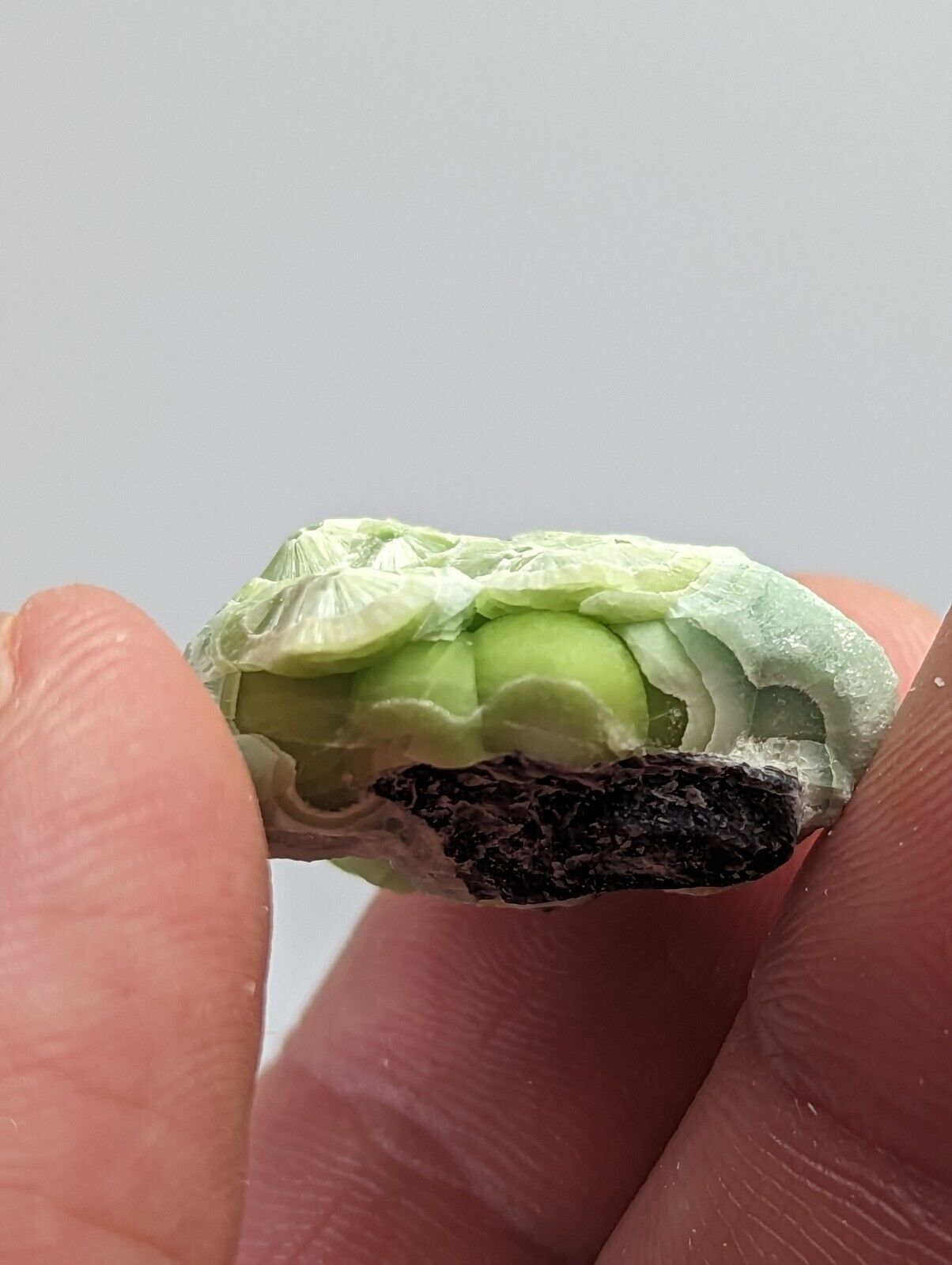Unique Wavellite - Fantastic 1990s Old Stock - Mauldin Mountain Arkansas - Collectibles:Rocks Fossils &