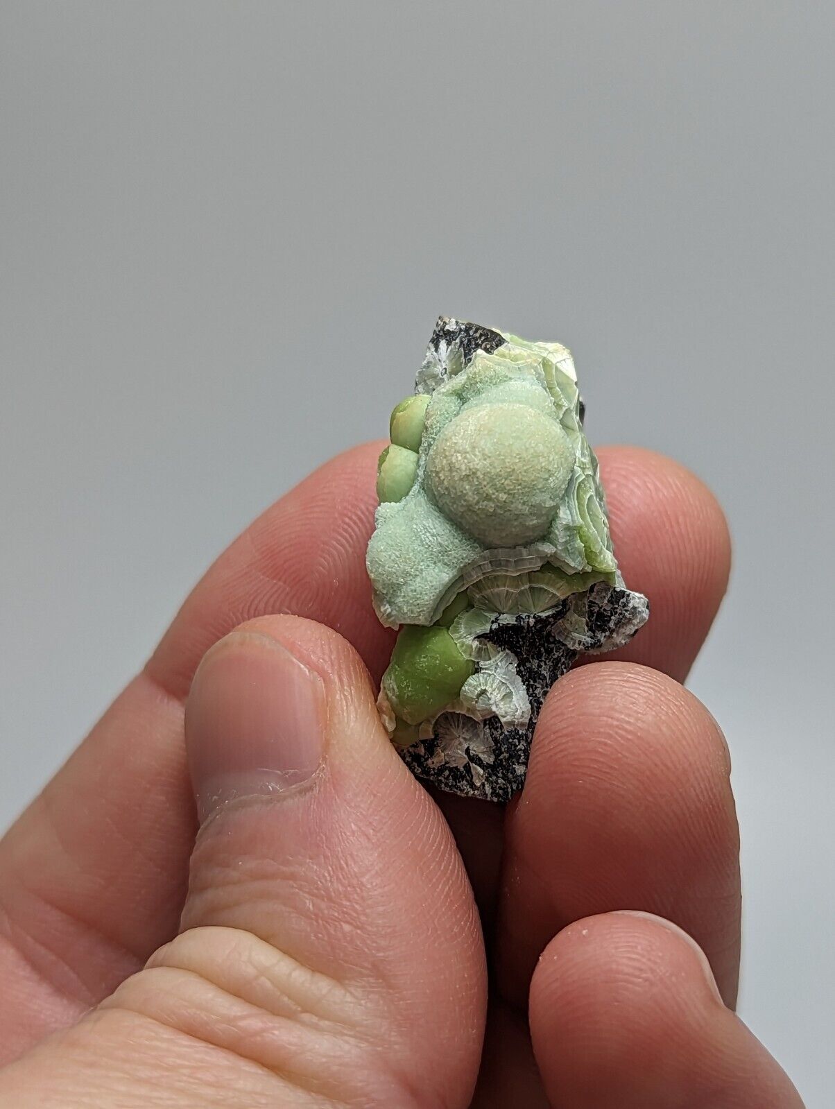 Unique Wavellite - Fantastic 1990s Old Stock - Mauldin Mountain Arkansas - Collectibles:Rocks Fossils &