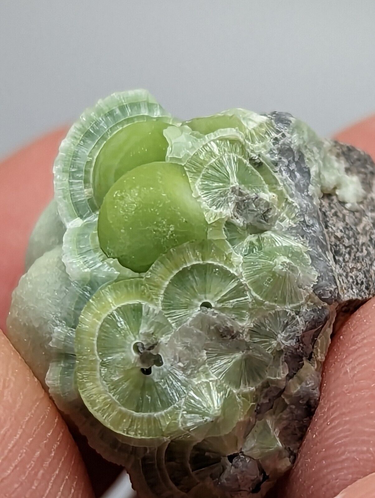 Unique Wavellite - Fantastic 1990s Old Stock - Mauldin Mountain Arkansas - Collectibles:Rocks Fossils &